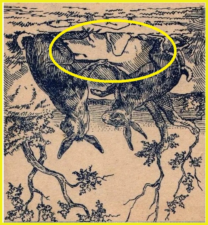 tinh mắt - Ảnh 2.