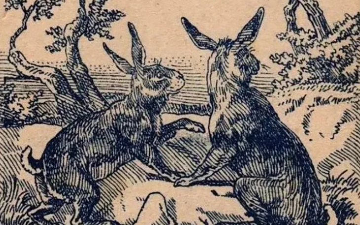 Quiz: Bạn tinh ý, thấu hiểu người khác hay cởi mở, truyền cảm hứng? - Ảnh 6.