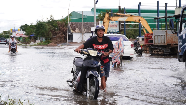 Lấy xi măng đi vá quốc lộ 1 ở Cà Mau- Ảnh 3. QUỐC LỘ - Ảnh 3.
