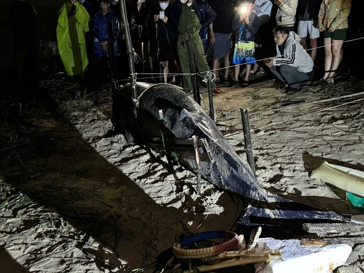 Đà Nẵng - Ảnh 2.