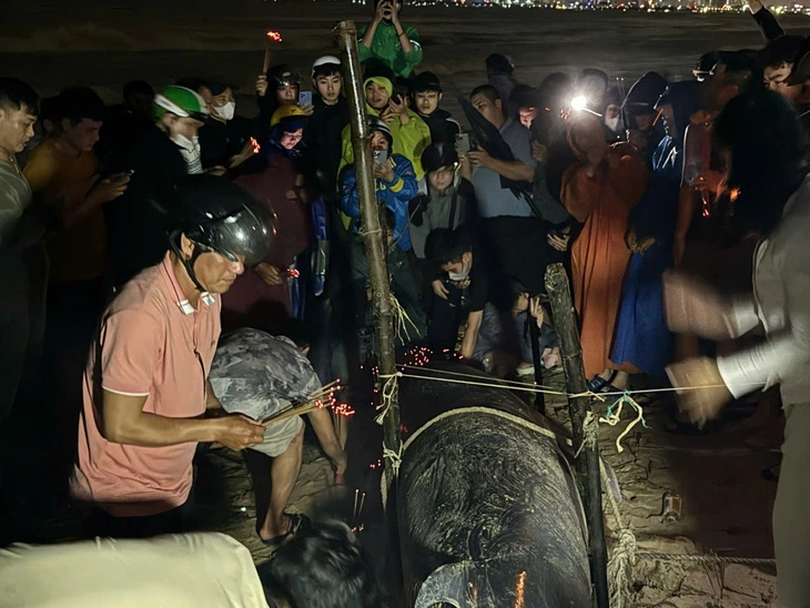 Đà Nẵng - Ảnh 3.