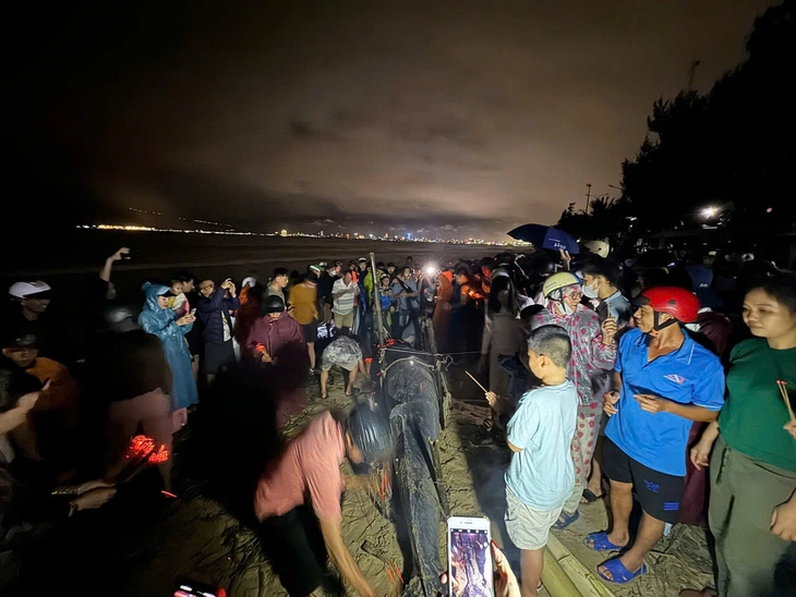 Đà Nẵng - Ảnh 4.