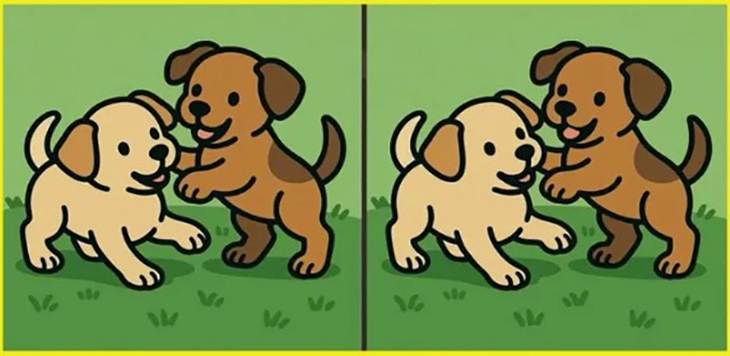 tinh mắt - Ảnh 5.