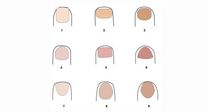 móng tay - Ảnh 1.