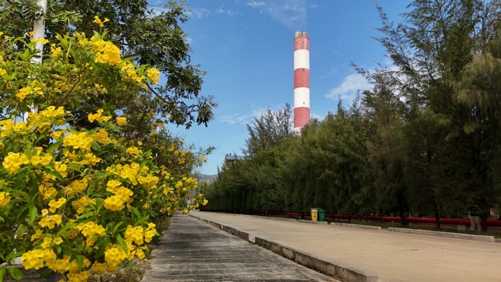 evngenco3 - Ảnh 2.