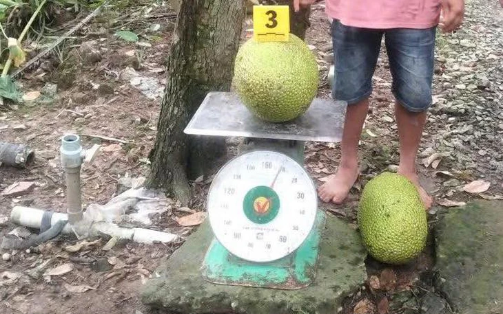 'Táy máy' khi còn án tích sẽ bị xử nặng - Ảnh 2.