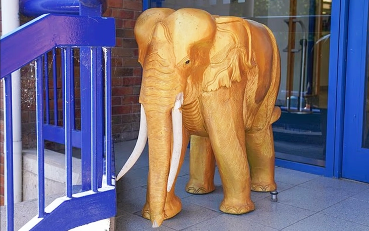 60 runner tham dự giải marathon tăm tối dưới lòng đất - Ảnh 3.