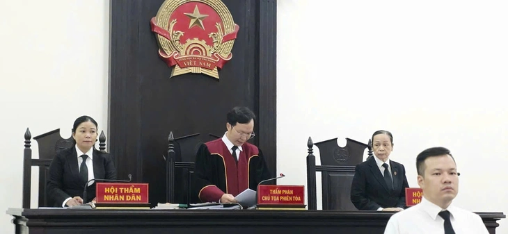 Vụ 'người vay thoát nợ 5 tỉ': Tòa nhận định Novareal có dấu hiệu 'lừa đảo chiếm đoạt tài sản' - Ảnh 1.