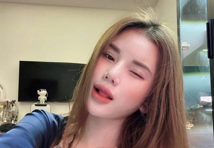 Vì sao hot girl Lê Phạm Hiểu Ly bị truy nã? - Ảnh 1.