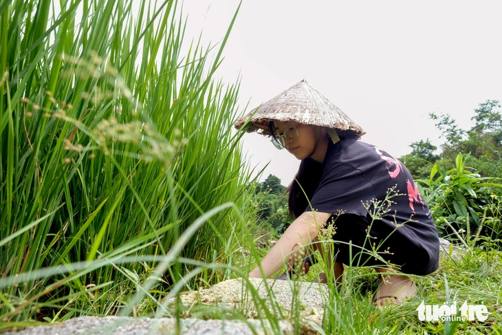 Lũ dữ không ngăn lòng đam mê khoa học, nữ sinh vùng cao trúng tuyển ngành… đường sắt tốc độ cao - Ảnh 1.