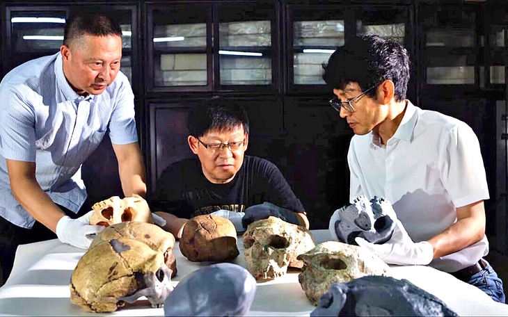 Con người di chuyển nhiều gấp 40 lần toàn bộ động vật hoang dã - Ảnh 4.