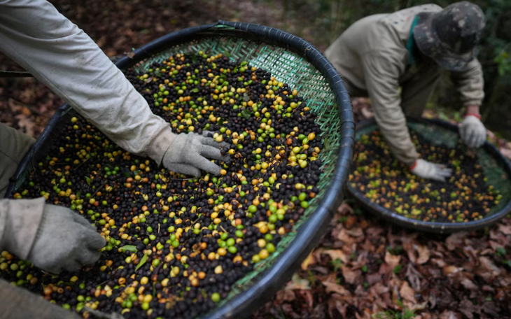 Khám phá ly cà phê đắt nhất thế giới được bán tại Dubai - Ảnh 4.