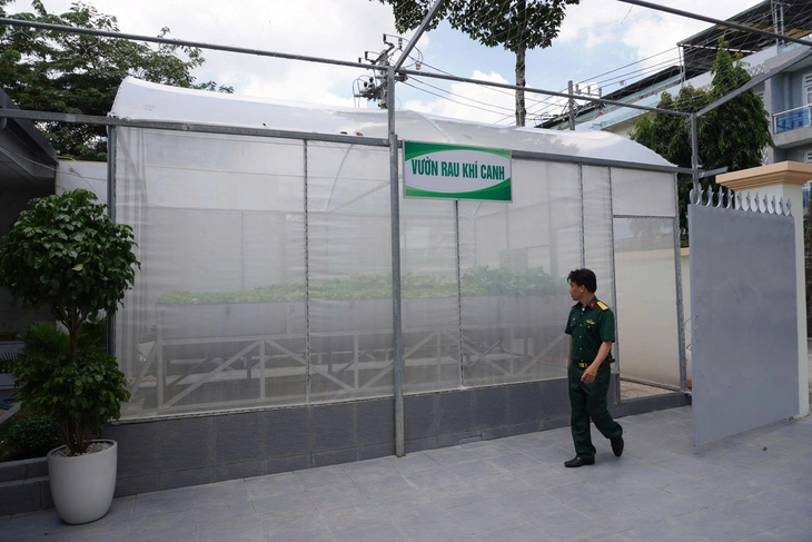 Bệnh viện Quân y 120 trồng rau khí canh, lo bữa ăn miễn phí cho cán bộ, nhân viên - Ảnh 2.