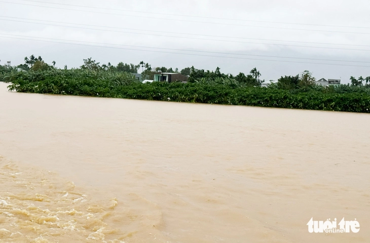 nước lũ - Ảnh 4.