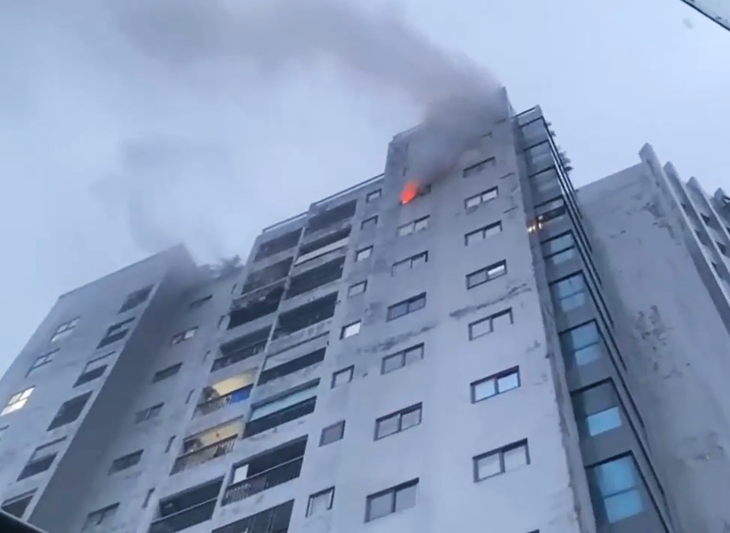 chung cư - Ảnh 1.