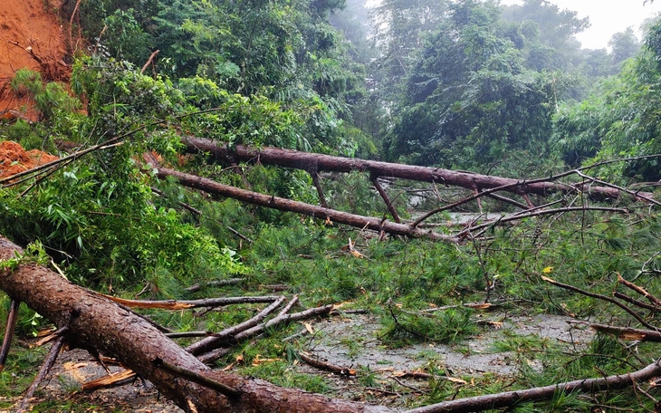 Tiếp tục đóng đèo D’Ran Đà Lạt, làm công trình khẩn cấp để chống sạt lở - Ảnh 2.