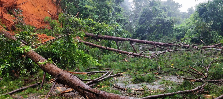 Lại sạt lở quốc lộ 28, đường vào Đà Lạt hết ách chỗ này lại tắc chỗ kia - Ảnh 1.