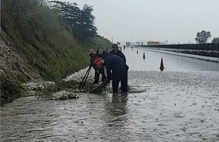 cao tốc Vĩnh Hảo - Phan Thiết - Ảnh 1.