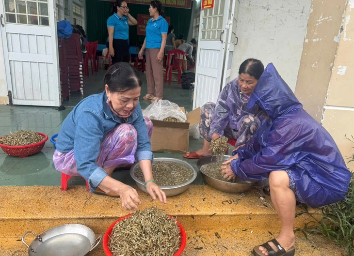 Quảng Ngãi - Ảnh 4.