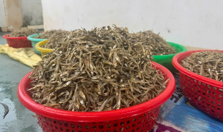 Quảng Ngãi - Ảnh 3.