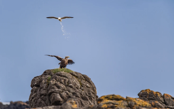 Từ cơ thể kín hình xăm đến hành trình tìm lại khuôn mặt thật của mình - Ảnh 4.