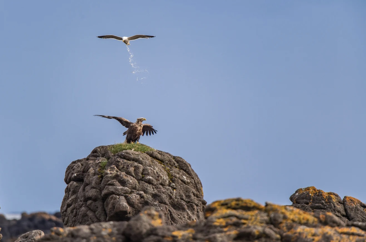 hài hước - Ảnh 1.