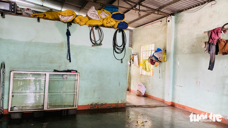 Đà Nẵng - Ảnh 7.