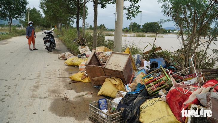 Đà Nẵng - Ảnh 8.