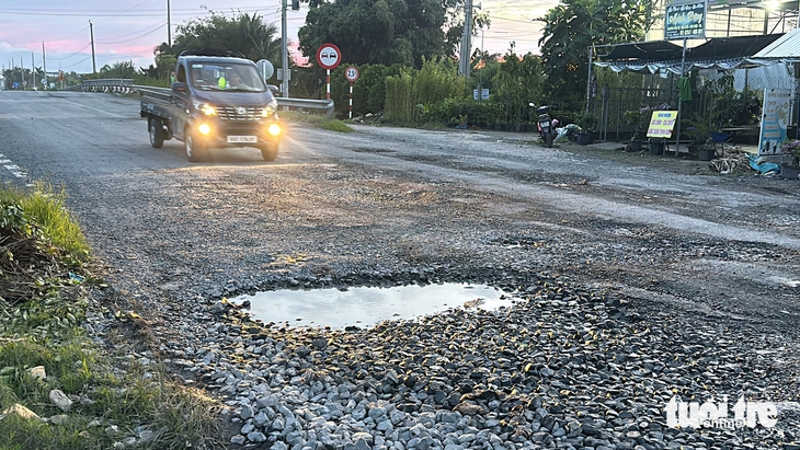 làng hoa sa đéc - Ảnh 3.