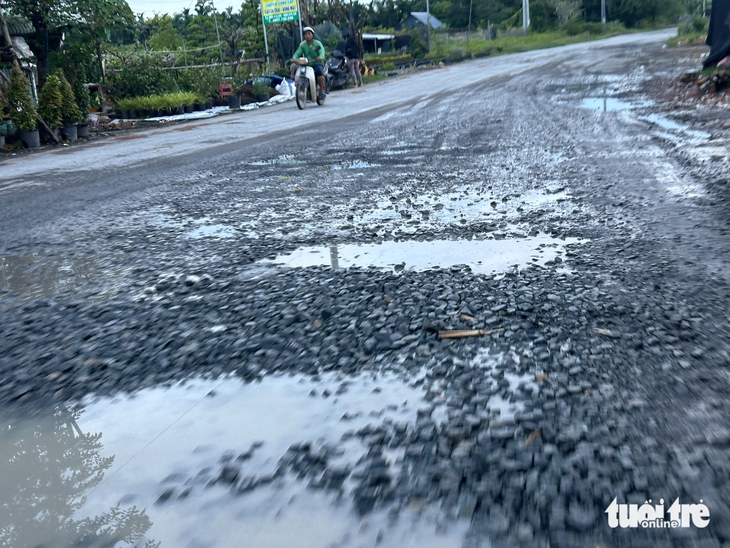 Triều cường kết hợp mưa lớn làm hư hại hơn 24ha hoa kiểng ở làng hoa Sa Đéc - Ảnh 4.