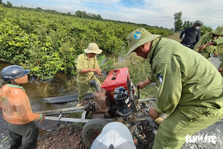 mai vàng - Ảnh 8.
