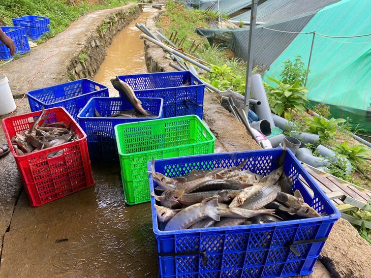 sạt lở - Ảnh 1.