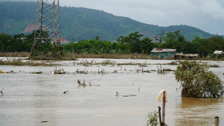 Đà Nẵng - Ảnh 6.