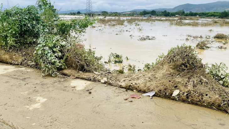 Đà Nẵng - Ảnh 5.