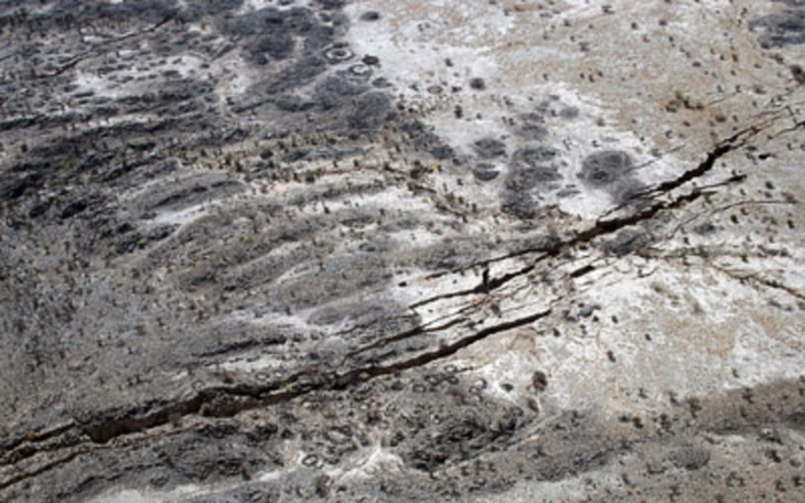 Toyota bác tuyên bố của ông Trump về khoản đầu tư 10 tỉ USD - Ảnh 4.