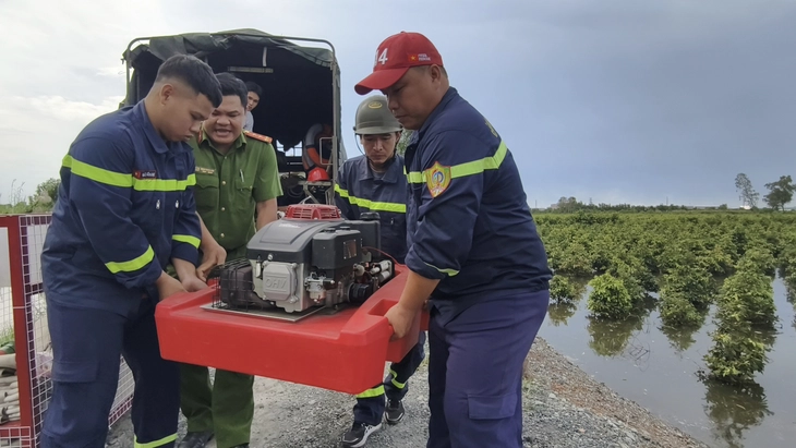 mai vàng - Ảnh 2.