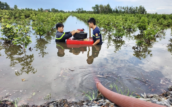 Hàng chục hecta mai vàng không còn bị ngập sau 4 ngày đêm bơm nước - Ảnh 4.