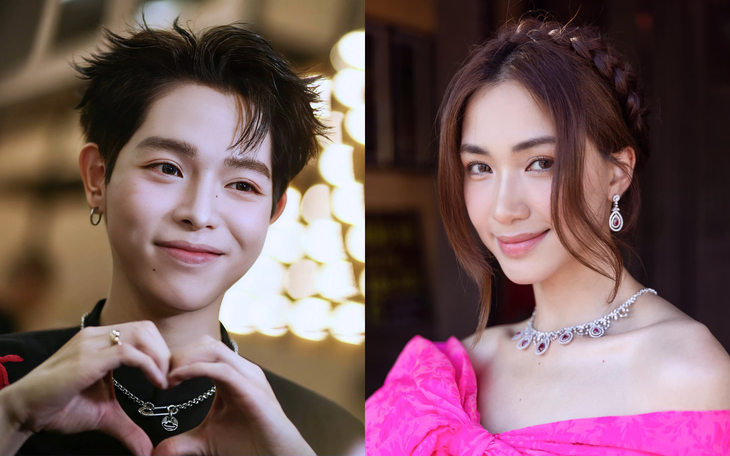 Mỹ Tâm ủng hộ Đà Nẵng: Cầu mong bình an đến với mọi người, mọi nhà - Ảnh 3.