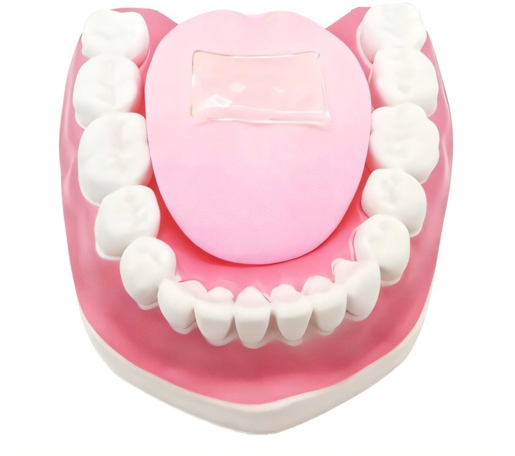 lưỡi nhân tạo - Ảnh 1.