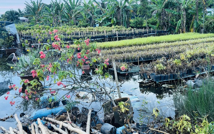 Cà Mau vận hành hơn 300 cống, đập ngăn triều cường Rằm tháng 9 âm lịch - Ảnh 2.