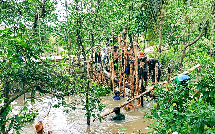 Triều cường kết hợp mưa lớn làm hư hại hơn 24ha hoa kiểng ở làng hoa Sa Đéc   - Ảnh 5.