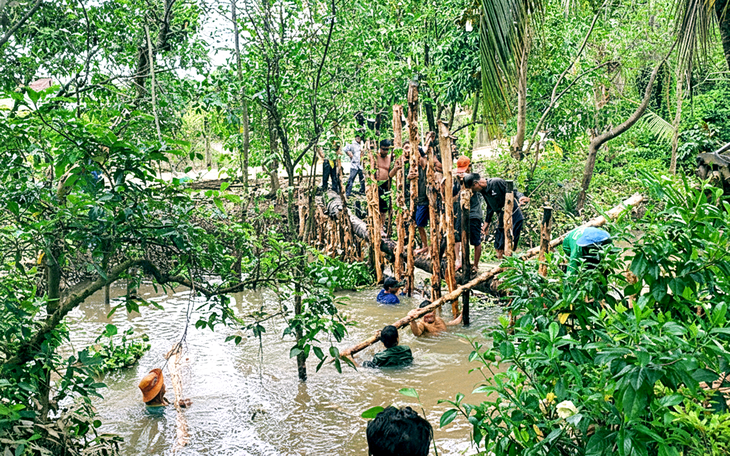 Nhiều vườn cây ăn trái thiệt hại nặng do triều cường bất thường - Ảnh 1.