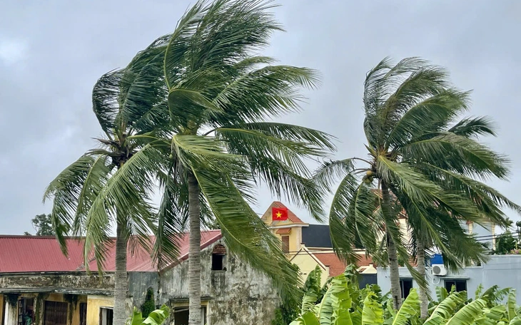 Phòng chống bão Matmo: Hải Phòng, Quảng Ninh ban hành lệnh cấm biển - Ảnh 2.