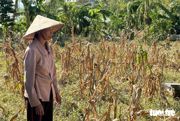 Trao tiền từ chương trình 'Lợp lại mái nhà cho người dân vùng bão' cho loạt người nghèo ở Nghệ An - Ảnh 4.