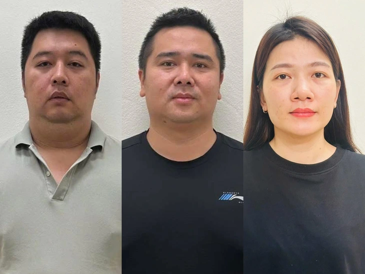 Hoàng Hường bị bắt tạm giam - Ảnh 3.
