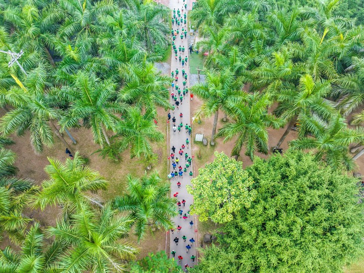 Eco Central Park  - Ảnh 1.