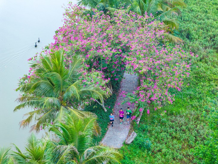Eco Central Park  - Ảnh 2.