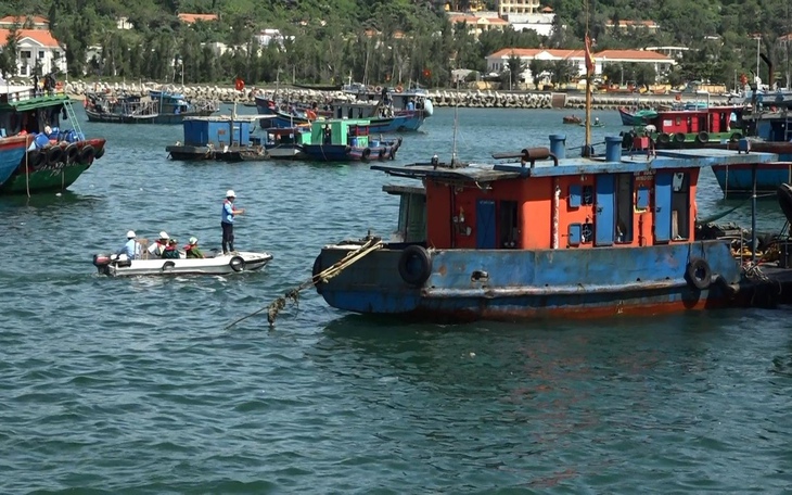 Hải Phòng: Các trường được tự quyết việc cho học sinh nghỉ học để phòng chống bão Matmo - Ảnh 2.