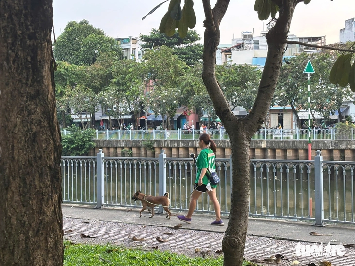 Chó không rọ mõm chạy dọc kênh Nhiêu Lộc - Thị Nghè: 'Dẫn cháu đi dạo sợ chó lao tới cắn' - Ảnh 2.