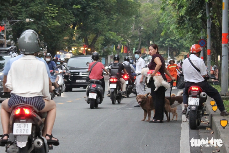 Chó không rọ mõm chạy dọc kênh Nhiêu Lộc - Thị Nghè: 'Dẫn cháu đi dạo sợ chó lao tới cắn' - Ảnh 5.